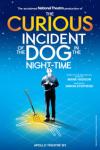 The Curious Incident of the Dog in the Night-Time theatre breaks