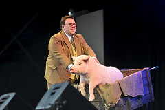 Betty Blue Eyes by andyj300