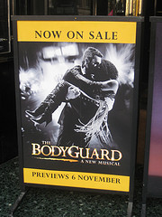 The Bodyguard by Andy Roberts