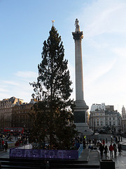 Christmas tree in Trafalgar Square by Mike_fleming