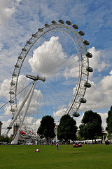 The London Eye by Martin Pettitt