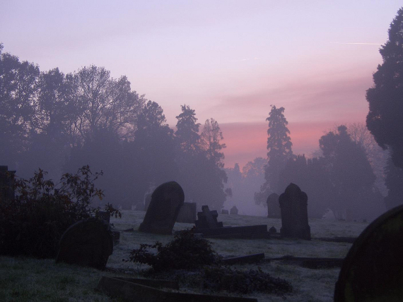 Sunset in a London Cemetery by Stu's Images 