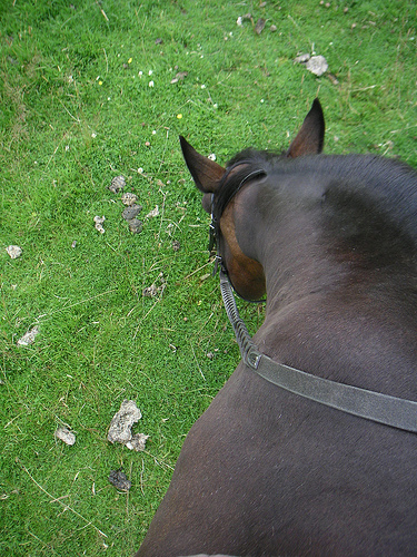 Photo by David Smith