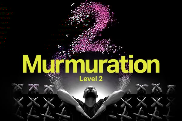 Murmuration Level 2